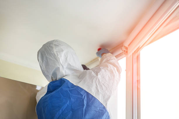 Why You Should Choose Our Mold Remediation Services in Shenandoah Heights, PA