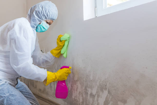 Best Residential Mold Inspection & Testing  in Shenandoah Heights, PA