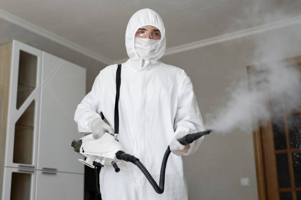 Best Emergency Mold Remediation  in Shenandoah Heights, PA